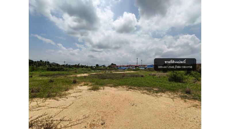 ขายที่ดิน สามพราน นครปฐม ถมแล้วทั้งแปลง  ขายที่ดิน สามพราน นครปฐม ถมแล้วทั้งแปลง