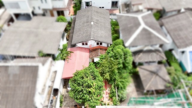 บ้านเดี่ยว สุขุมวิท 65 ซอยชัยพฤกษ์ ทำเลดี ใกล้ BTS เอกมัย