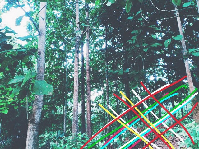 ตุนทรัพย์เก็บขายเก็งกำไร   ขายที่ดินติดลำธารน้ำใสไหลริน ชุ่มฉ่ำตลอดปี สวยวิวล้าน 800000บาท 3-0-35ไร่ อำเภอสันติสุข น่าน