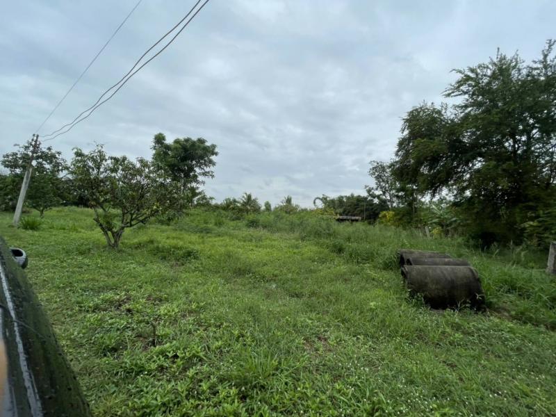 ขายที่ดิน 530 ตรว. ราคา 3.29 ลบ. อ.ปากช่อง ต.ขนงพระ ใกล้ทางด่วนM6 เพียง 5 นาที สนใจโทร.0909862154