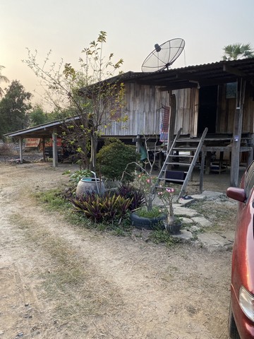 ตุนทรัพย์เก็บขายเก็งกำไร  ขายบ้านไม้ จ.สิงห์บุรี  วิถีไทย  ต.โพทะเล วิถีไทย 262 วา ต.โพทะเล อ.ค่ายบางระจัน สิงห์บุรี 500000บาท