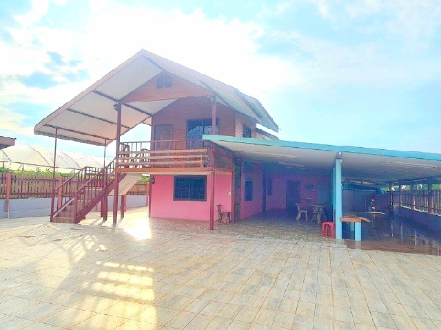 บิ๊กซี โลตัส ปากช่อง 5.9กม. ตลาดไนท์ปากช่อง 5.9 กม.ให้เช่าบ้านไร่องุ่น 2ชั้น 152ตร.วา. 302ตร.ม. 3 นอน 3 น้ำ ทองสมบูรณ์คลับ 2.49กม.  