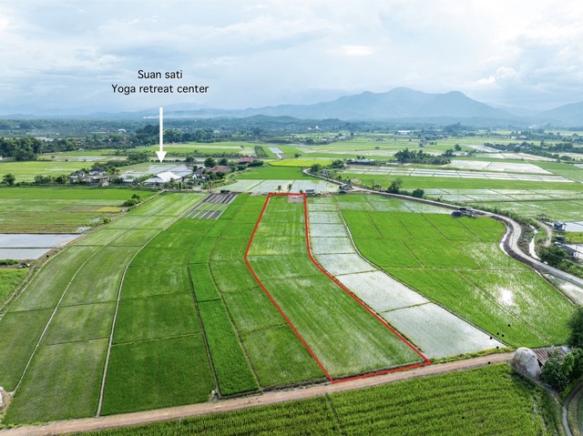 ขายที่ดินแม่วาง วิวดอย เชียงใหม่ เนื้อที่ 2 ไร่ 1 งาน 60 ตารางวา จ้าของขายเอง