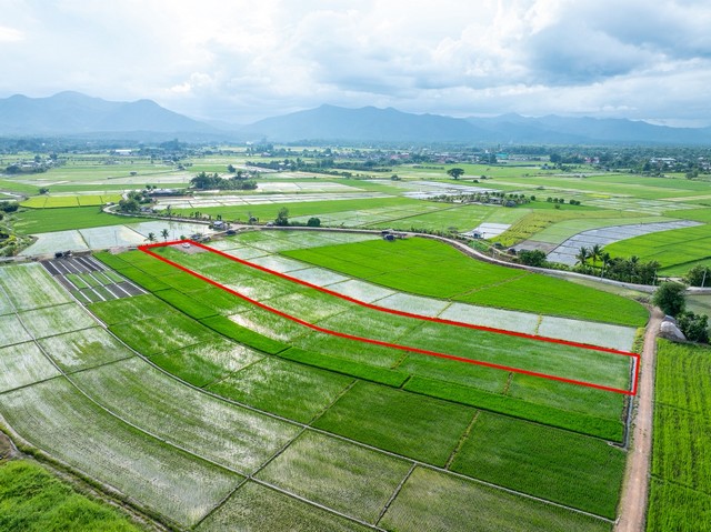 ขายที่ดินแม่วาง วิวดอย เชียงใหม่ เนื้อที่ 2 ไร่ 1 งาน 60 ตารางวา จ้าของขายเอง