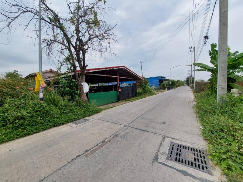 ทีดินพร้อมสิงปลูกสร้าง ติดซอยแก้วบาง ถนนเลียบคลองสอง ตําบลคลองสอง อําเภอคลองหลวง จังหวัดปทุมธานี