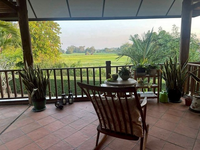 บ้านสวน ชั้นเดียว ทำเลดี พื้นที่กว้าง เฟอร์ครบ แม่ริม