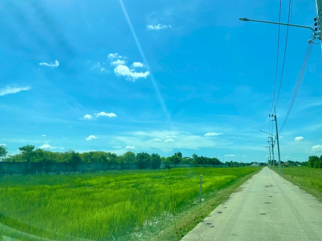 [ขาย] ที่ดิน 1 ไร่ | สามเรือน บางปะอิน อยุธยา | ติดถนนสาธารณะ | ใกล้มอเตอร์เวย์ | 3.88 ล้าน