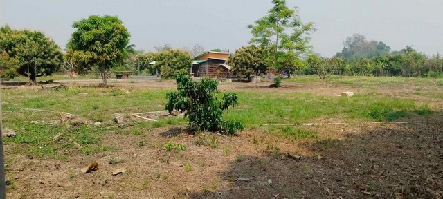 บ้านสวน ที่ดินสี่เหลี่ยมสวยงาม ติดถนนคอนกรีต หางดง