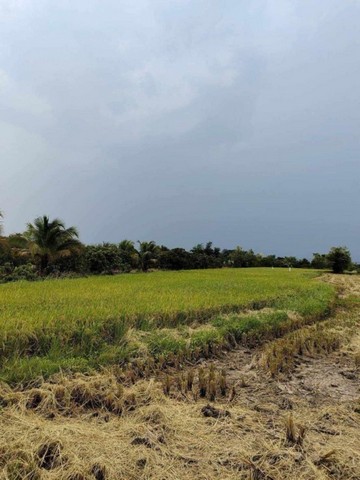 ที่ดินสวย วิวดี เหมาะสำหรับสร้างบ้าน ขุนคง หางดง