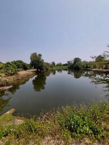 ที่ดินสวนลำไย มีสระเก็บน้ำ ไม่เปลี่ยว โซนหางดง