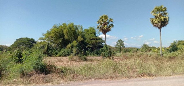 ตุนทรัพย์เก็บขายเก็งกำไร ที่ติดแม่น้ำโขง ต.กุดบง อ.โพนพิสัย จ.หนองคาย  หลังติดแม่น้ำโขง ไร่ละ 2ล้านบาท โทร 096-882-1857