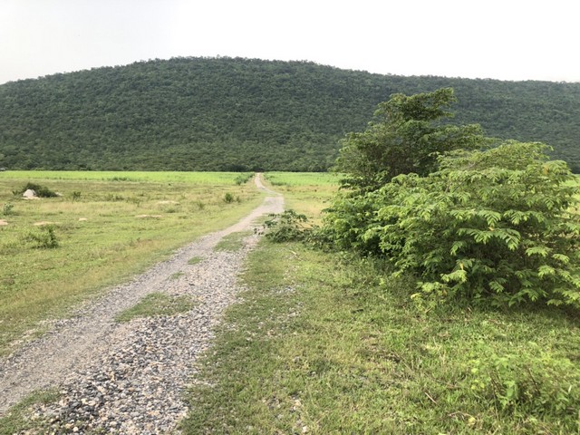 ตุนทรัพย์เก็บขายเก็งกำไร  ขายที่ดินสวยติดภูเขา เทือกเขายาวเรียงแนว ดินดีสมบูรณ์ทรัพย์ในดิน ฟ้าใสวิวหลักล้าน ต.นาจาน อ.สีชมพู จ.ขอนแก่น 