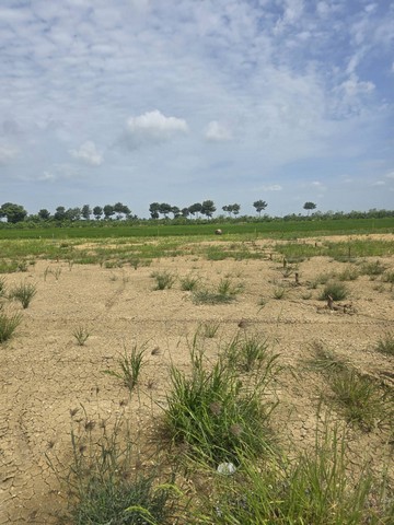 ขายที่ดินถมแล้ว แบ่งแปลงขาย สดและผ่อน อำเภอไทรน้อย จังหวัดนนทบุรี น้ำไฟพร้อม