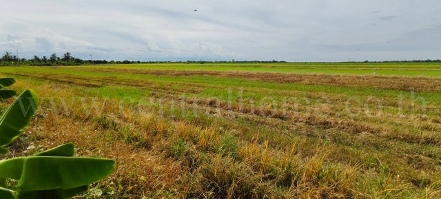 R1 ที่ดินเปล่า 4 ไร่ 28.3 ตร.วา ถนนบางเลน 346 นครปฐม