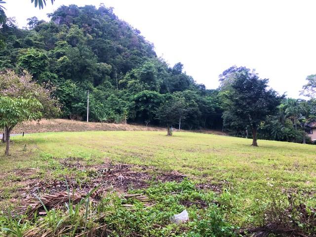 ขายที่ดิน 470 ตรว. แปลงมุม ในสนามกอล์ฟเซอร์เจมส์คันทรีคลับ Forest Hill มวกเหล็ก สระบุรี