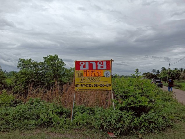 ขายที่ดิน 11-1-22 ไร่  ทำเลสวย วิวธรรมชาติ วิวภูเขา  ปราณบุรี  ประจวบคีรีขันธ์   ZW585 