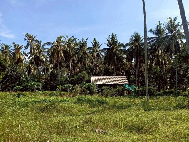 ขายที่ดิน 8-2-20 ไร่  ทำเลสวย วิวธรรมชาติ  ธงชัย  บางสะพาน  ประจวบคีรีขันธ์  ZW583