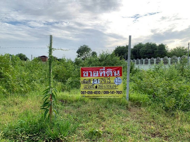 ขายที่ดิน 1-1-74 ไร่ ทำเลสวย  ใกล้ศูนย์ศิลปาชีพบางไทรฯ ติดแม่น้ำเจ้าพระยา จ.อยุธยา    ZW580