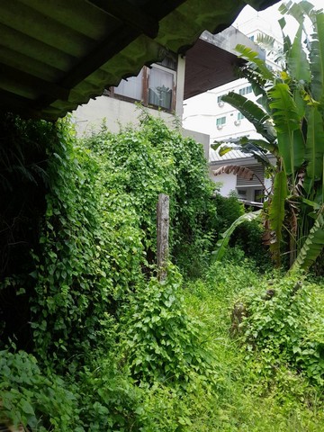 ขายที่ดินเปล่า 33 ตร.ว ซอยวชิรธรรมสาธิต 58 สุขุมวิท 101/1 ใกล้ BTS ปุณณวิถี เหมาะสำหรับปลูกบ้าน โฮมออฟฟิศ หรือไว้ลงทุน