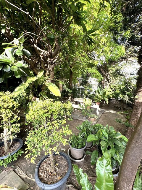 ให้เช่าบ้านเดี่ยว 2 ชั้น 280 ตรว. ย่านเอกมัย ซอย 28 พื้นที่ขนาดใหญ่ เหมาะทำ Home office style ธรรมชาติ, ร้านอาหาร หรือสปา