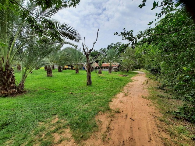 ขายที่ดินสวยทรงถุงเงิน 13-0-04 ไร่ ใกล้ รพ.แวงใหญ่  จ.ขอนแก่น  ZE830