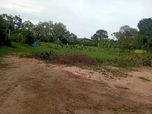 ขายที่ดินกลางเมืองยโสธร 481 ตร.วา  ต.ในเมือง เมืองยโสธร