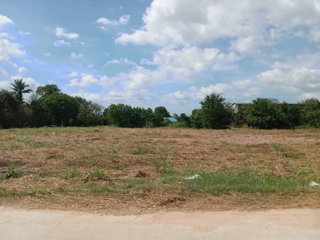 ขายที่ดินศรีราชาชลบุรี เนื้อที่ 4-1-28 ไร่ ผังสีเหลือง ห่างท่าเรือ 20 กม