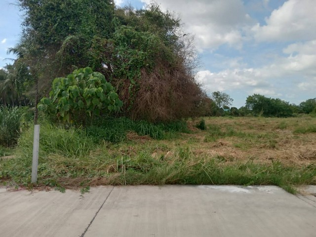 ขายที่ดินศรีราชาชลบุรี เนื้อที่ 4-1-28 ไร่ ผังสีเหลือง ห่างท่าเรือ 20 กม