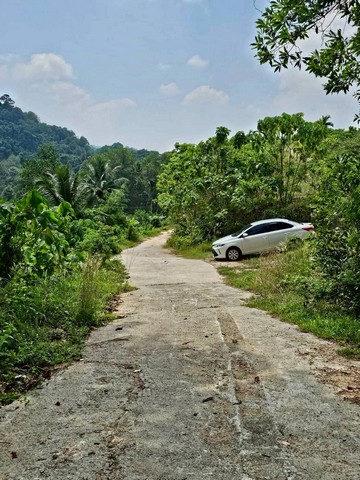 ขายที่เปล่าภูเก็ต มีน้ำตกส่วนตัว ใกล้พิพิธภัณฑ์เหมืองแร่กระทู้