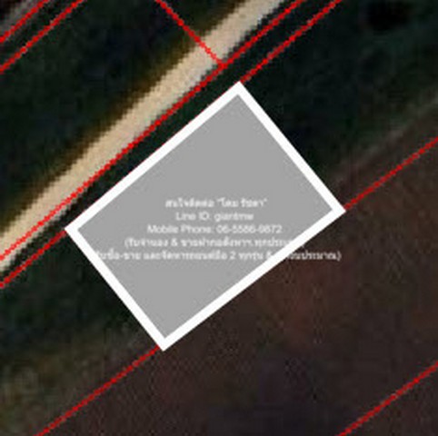 ที่ดิน ขายที่ดินไร่สวนทางการเกษตร (ติดถนน และติดเขา) 397500 thb  300 ตาราง.วา ใกล้กับ จุดชมวิวเขาช่องลม เขาช่องลม ถูกที่สุด