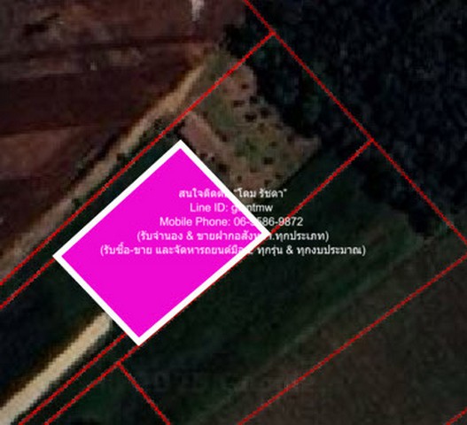ประกาศขาย พื้นที่ดิน ขายที่ดินไร่สวนทางการเกษตร (ติดถนน และติดเขา) 530000 thb  0 SQ.WA 0 งาน 1 Rai ใกล้กับ จุดชมวิวเขาช่องลม เขาช่องลม H O T!
