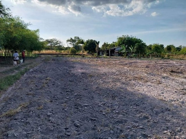 ขายที่ดินหนองบอนแดง ชลบุรี เหมาะทำโรงงาน โกดัง คลังสินค้า ติดถนนใหญ่ TP-L1494