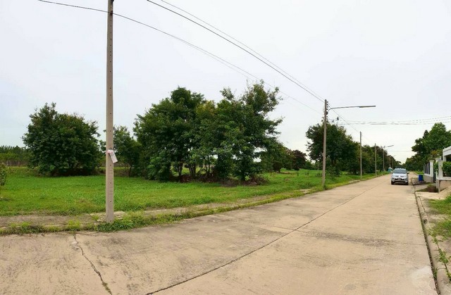 ขายที่ดิน116 ตารางวา  หมู่บ้านจัดสรร เดอะลากูน1-2 อ.สามโคก ปทุมธานี