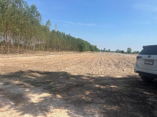 ขายที่ดินทำเลดี 17 ไร่ 1 งาน 88 ตารางวา ต.เนินขี้เหล็ก อ.ลาดยาว จ.นครสวรรค์