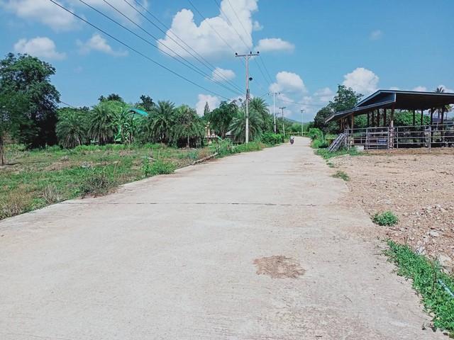 ขายที่ดิน ทำเลทอง แก่งกระจาน 5-2-59 ไร่ เดินทางสะดวก พื้นที่โล่งกว้าง อากาศดีมาก เพชรบุรี