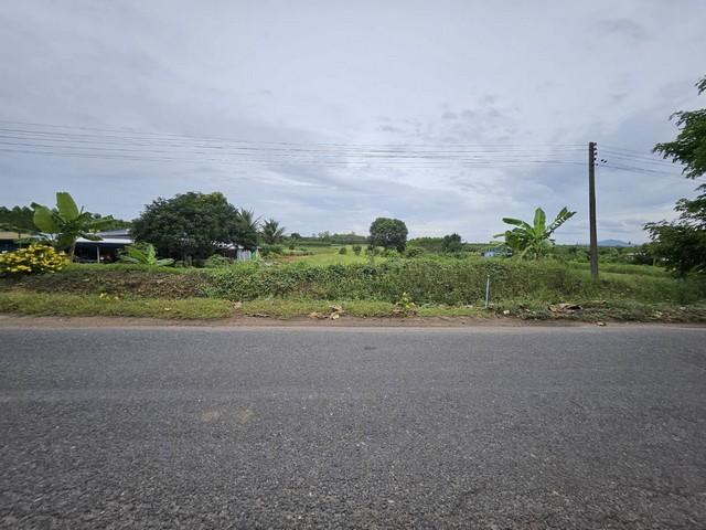 ขายที่ดินเกาะจันทร์ชลบุรี ผังเหลืองม่วง บนที่ดิน 3- 3- 89  ไร่เหมาะสำหรับทำบ้านพักตากอากาศ,  โกดังสินค้า