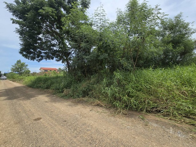 ขายที่ดินถมแล้ว 100 ตร.ว คลองห้า ปทุมธานี ทำเลดี ใกล้ราชมงคล