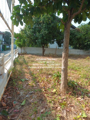   ที่ดิน ขายที่ดินเปล่าถมแล้ว ซ.ลาดพร้าว 94 (ตรงข้ามห้างอิมพิเรียล เวิลด์ ลาดพร้าว) 88 ตร.ว. ราคา 15 ล้านบาท (โอนฟรี)  พ.ท. 88 ตารางวา  12500000 BAHT   ราคานี้ต้องรีบจอง