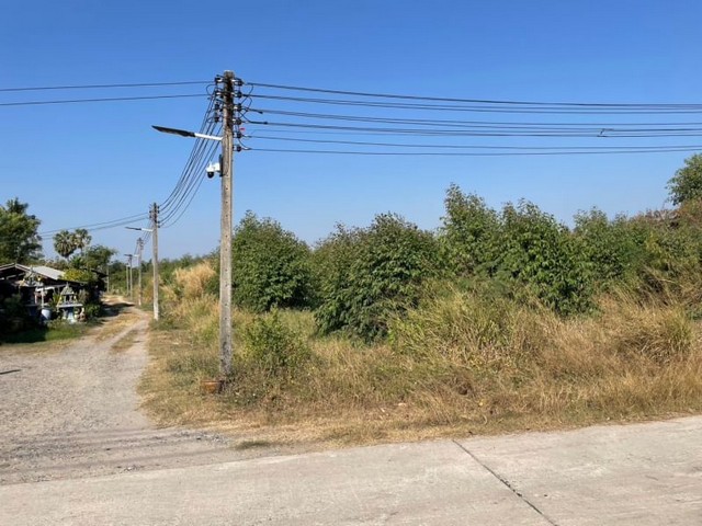 ขายที่ดินบ้านบึง ติดทางสาธารณะ แปลงสวย โซนหนองบอนแดง ชลบุรี FP-L0967