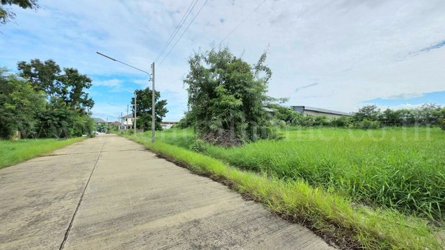 ที่ดินเปล่า 98 ตร.วา ต้นโครงการ เดอะลากูน 1-2 สามโคก ปทุมธานี