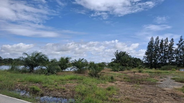  ที่ดินถมแล้ว ทำเลดี บรรยากาศธรรมชาติ ใกล้แหล่งน้ำ เหมาะลงทุนและใช้ประโยชน์ได้หลากหลาย  ซอยรัตนภิบาล ต.บางเพรียง อ.บางบ่อ จ.สมุทรปราการ