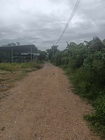 ขายที่ดิน อำเภอพัฒนานิคม จังหวัดลพบุรี เนื้อที่ 1 งาน 99 ตารางวา โฉนดครุฑแดง