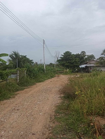 ขายที่ดิน อำเภอพัฒนานิคม จังหวัดลพบุรี เนื้อที่ 1 งาน 99 ตารางวา โฉนดครุฑแดง