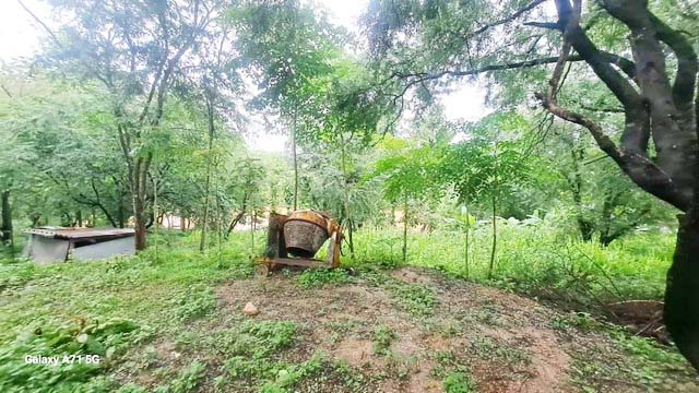 ขายที่ดิน 36-2-36 ไร่ แม่ระมาด ตาก ใกล้โรงพยาบาลแม่ระมาด เดินทางสะดวก