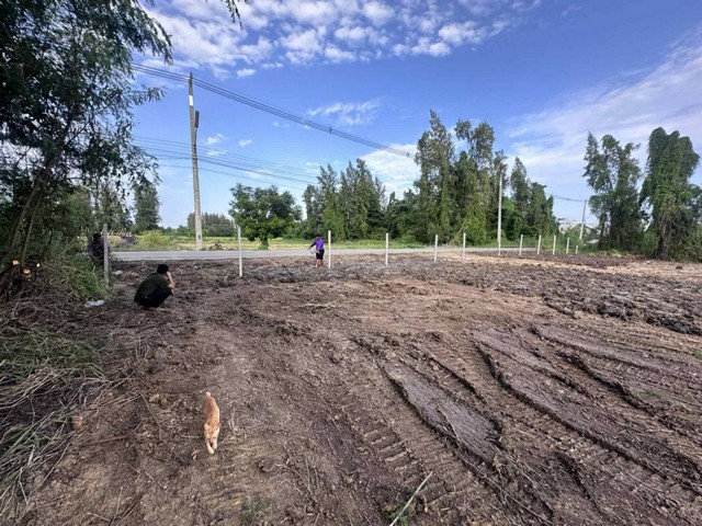 ขายที่ดินใกล้มหาวิทยาลัยราชภัฏสวนสุนันทา นครปฐม อำเภอพุทธมณฑล จังหวัดนครปฐม เนื้อที่ 1 ไร่ 3 งาน 28 ตารางวา