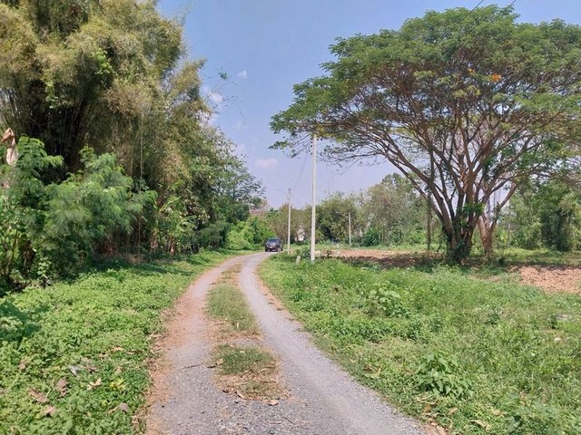 ที่ดิน แหล่งชุมชน เข้าซอยไม่ลึก ท่าวังตาล สารภี     