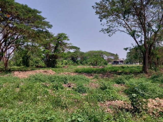 ที่ดิน แหล่งชุมชน เข้าซอยไม่ลึก ท่าวังตาล สารภี