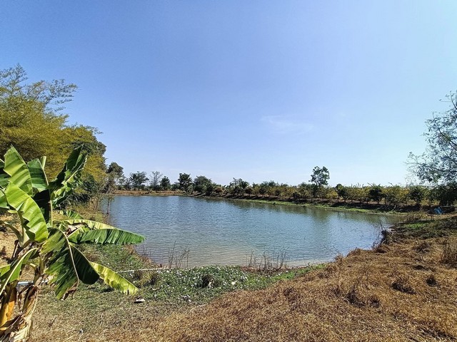 ขาย บ้าน 2 หลัง พร้อมที่ดิน 9 ไร่ 3 งาน จ.เพชรบูรณ์ ราคา 2,800,000 บาท 