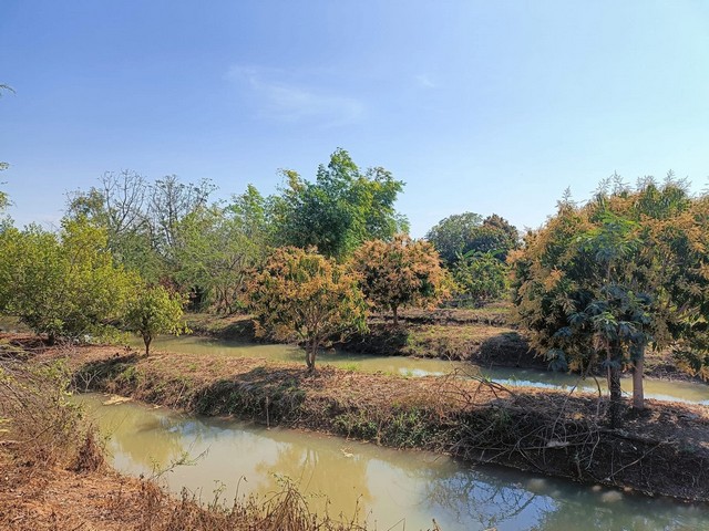 ขาย บ้าน 2 หลัง พร้อมที่ดิน 9 ไร่ 3 งาน จ.เพชรบูรณ์ ราคา 2,800,000 บาท