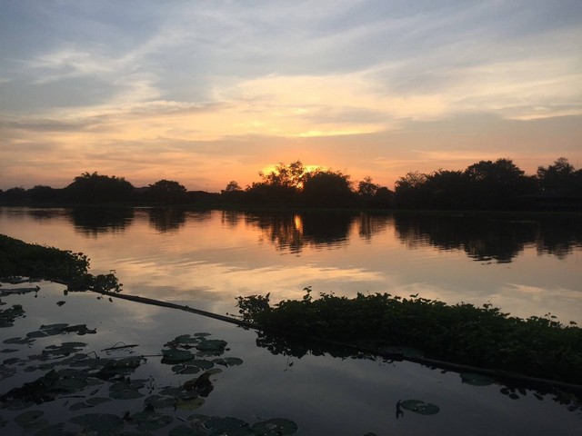 ขาย ที่ดินติดแม่น้ำท่าจีน นครชัยศรี พร้อมบ้านพัก 4 หลัง เนื้อที่ 5-2-73 ไร่ ตารางวาละ 20000 บาท